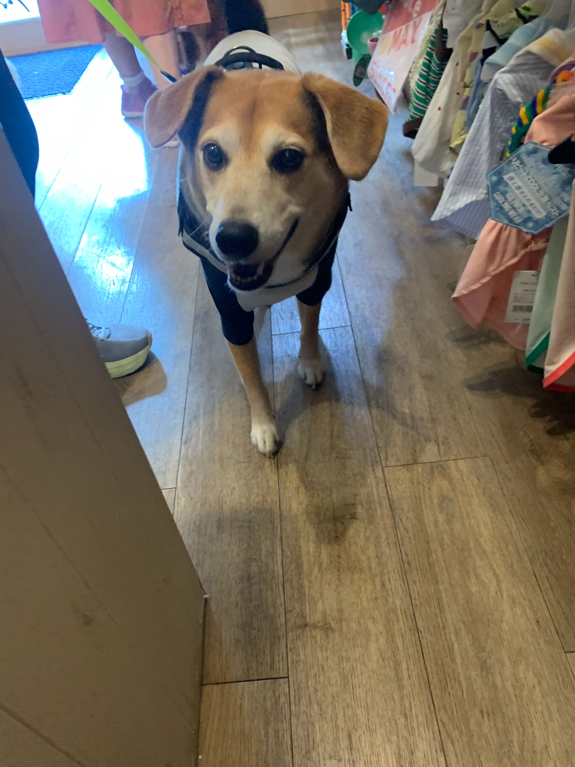 ふうたくんご来店ありがとうございます😊
