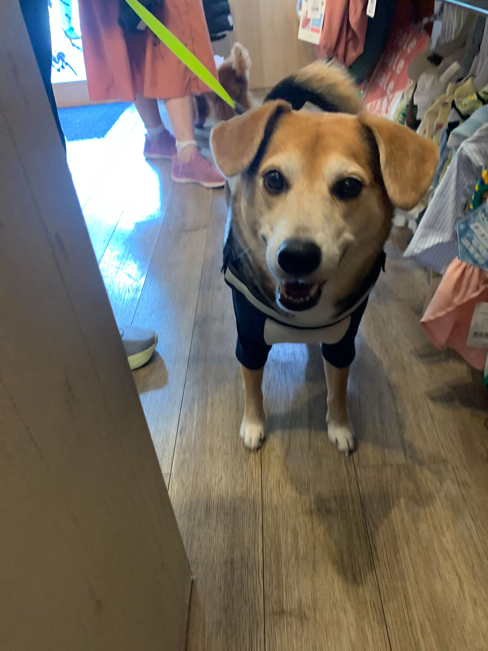 ふうたくんご来店ありがとうございます😊