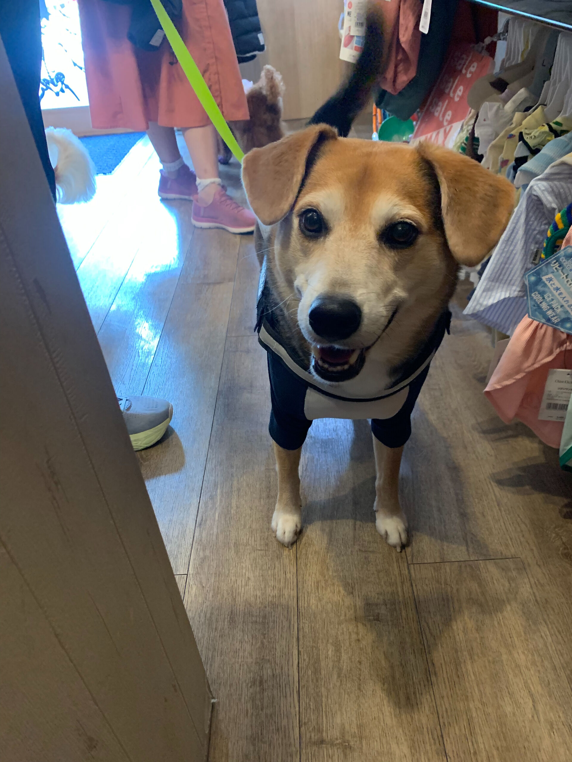 ふうたくんご来店ありがとうございます😊