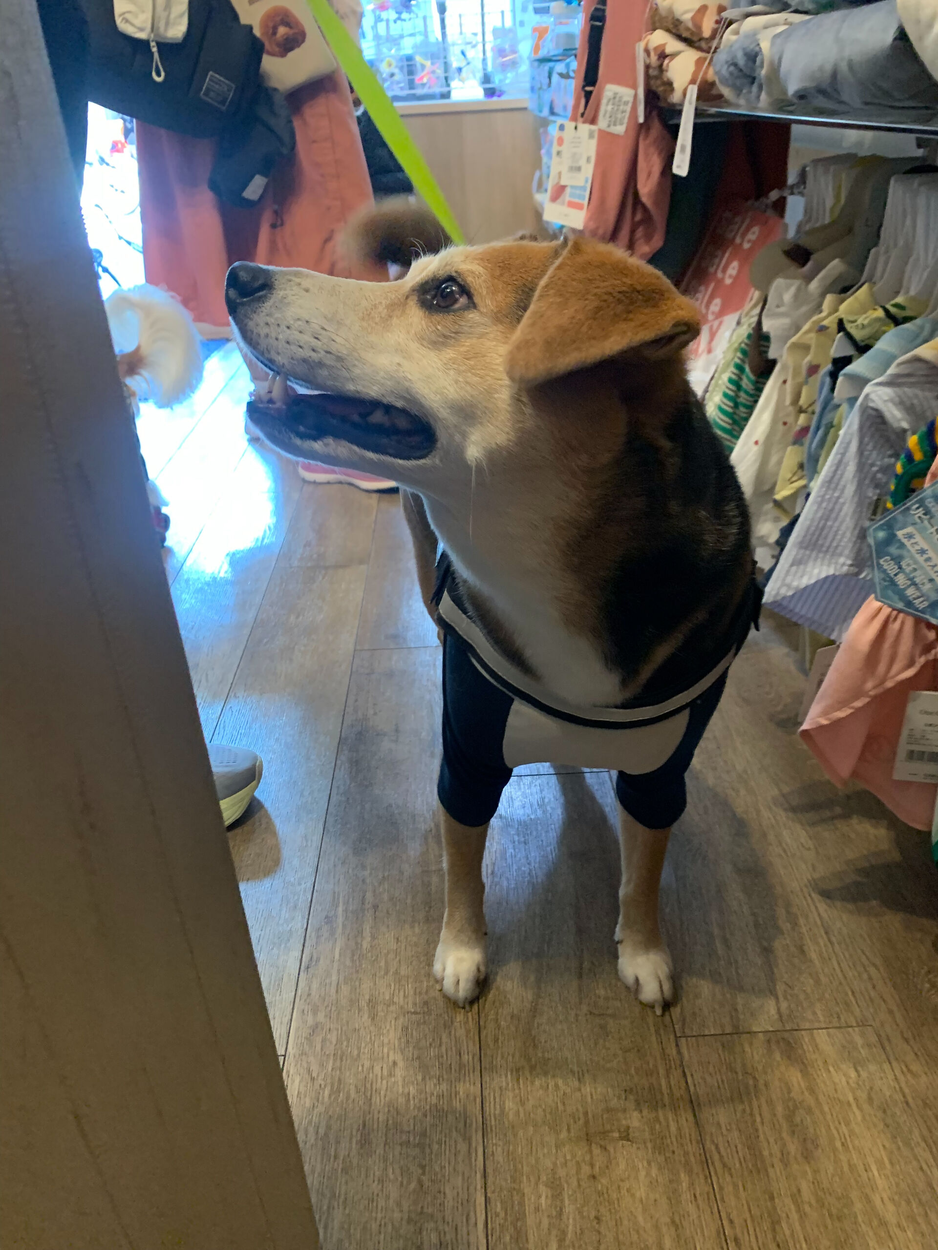 ふうたくんご来店ありがとうございます😊