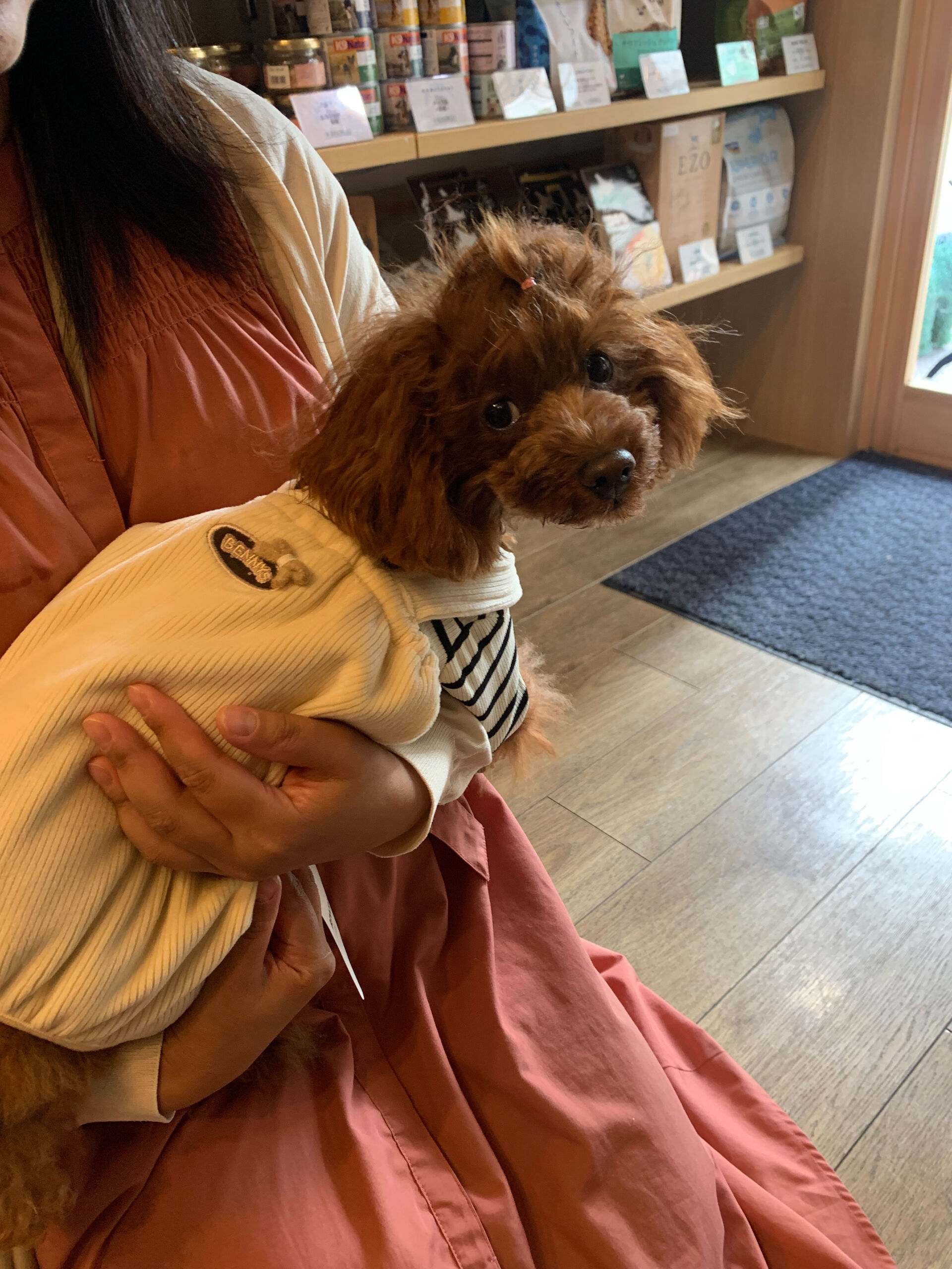 のんのちゃんご来店ありがとうございます😊