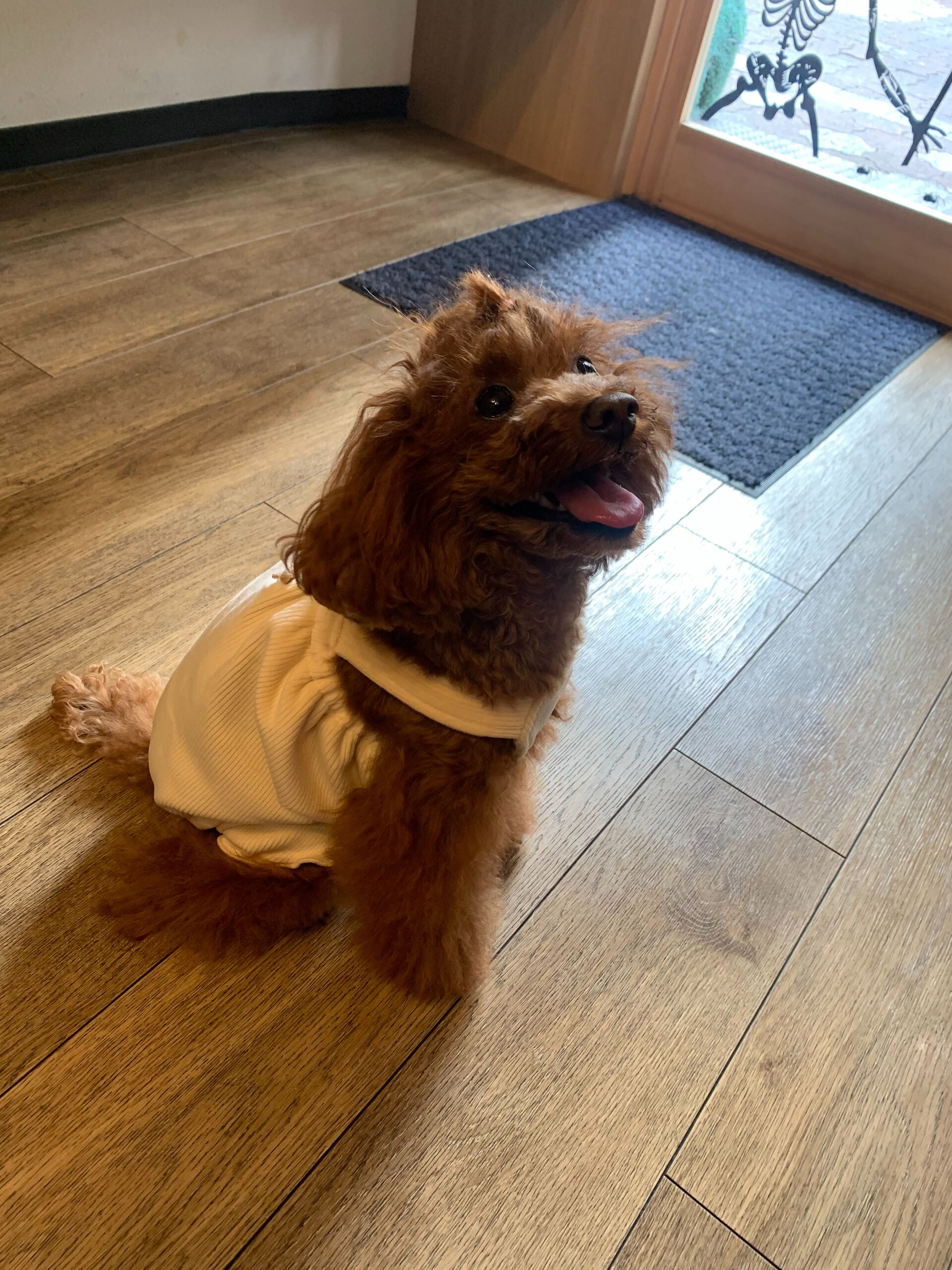 のんのちゃんご来店ありがとうございます😊