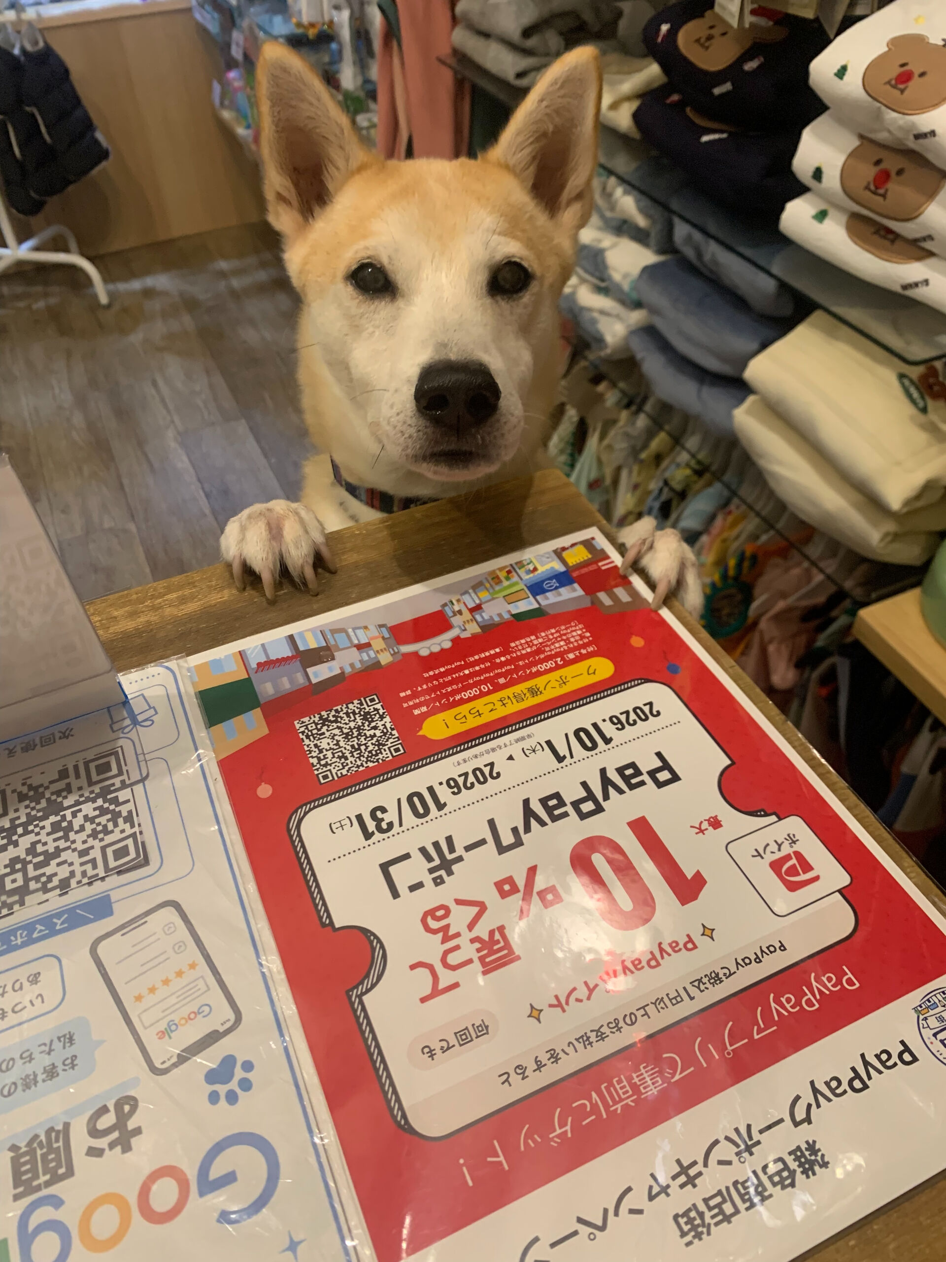 本日の大トリはこむぎくん🙌