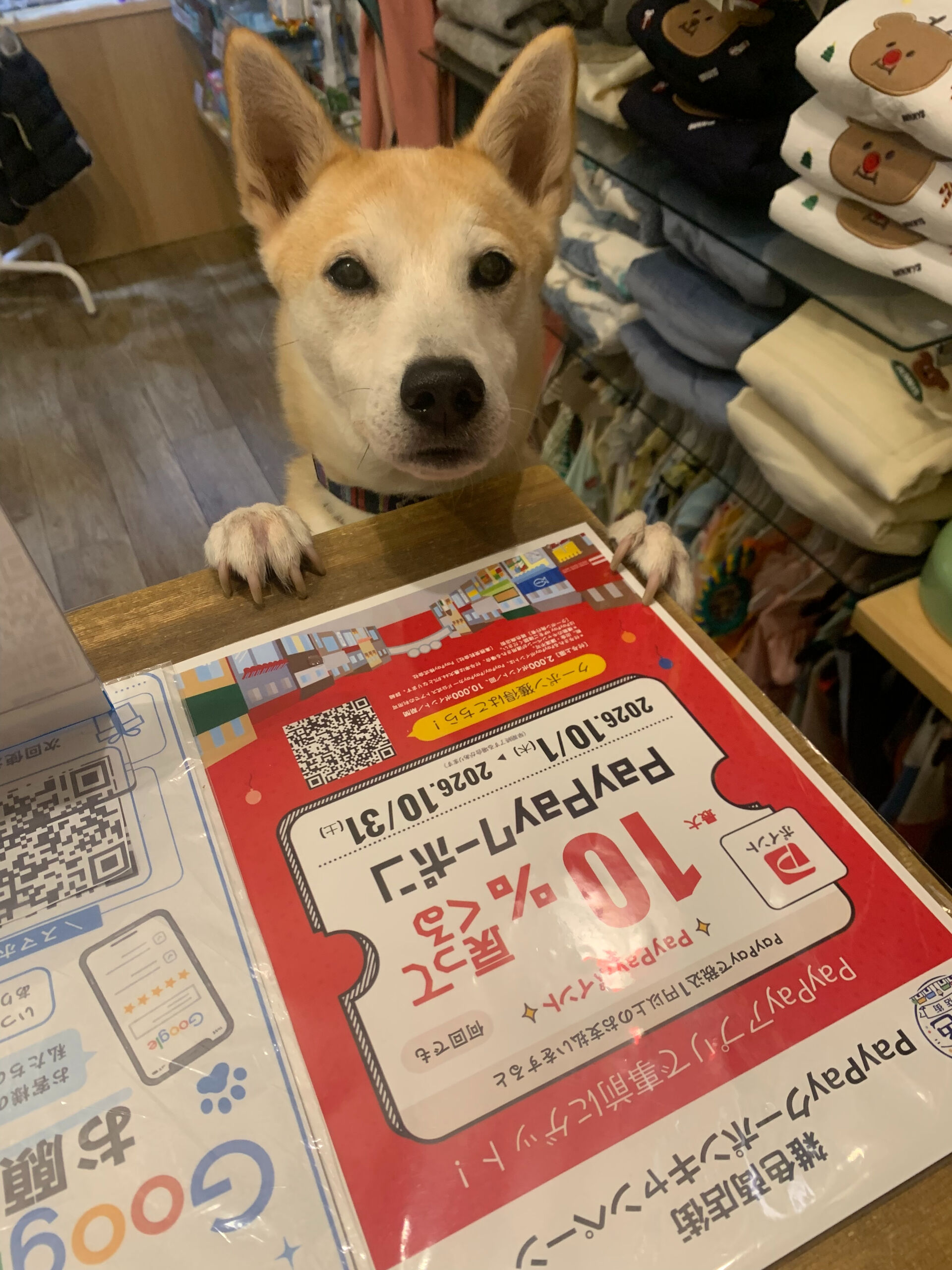 本日の大トリはこむぎくん🙌