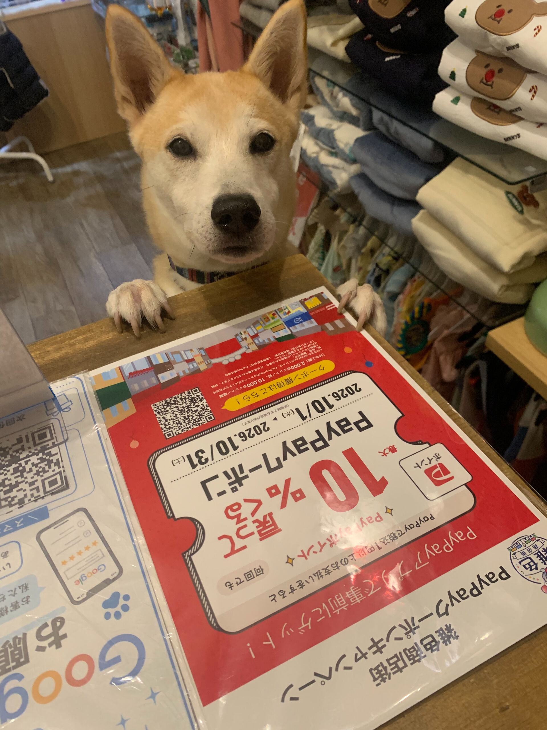 本日の大トリはこむぎくん🙌