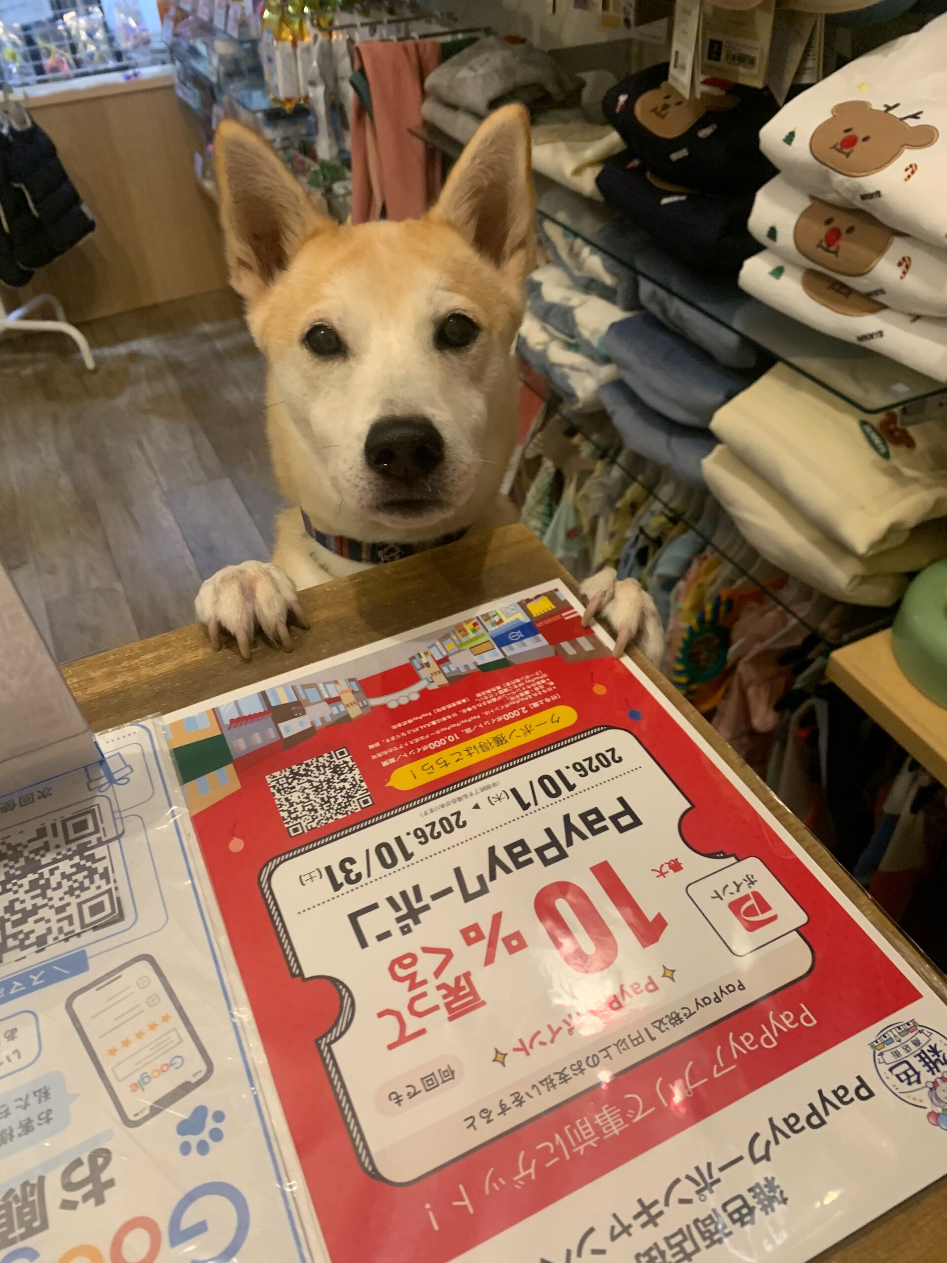 本日の大トリはこむぎくん🙌