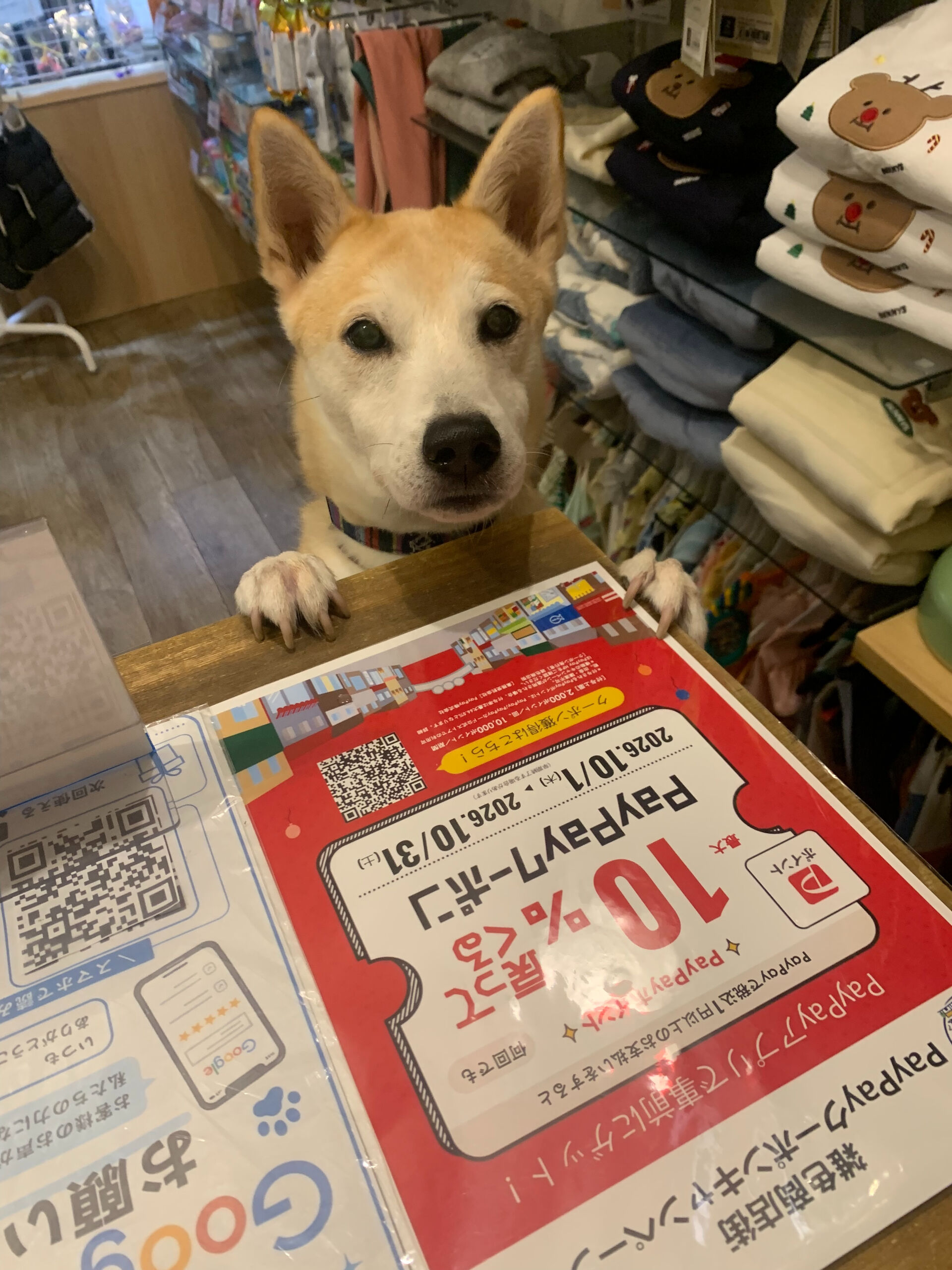 本日の大トリはこむぎくん🙌