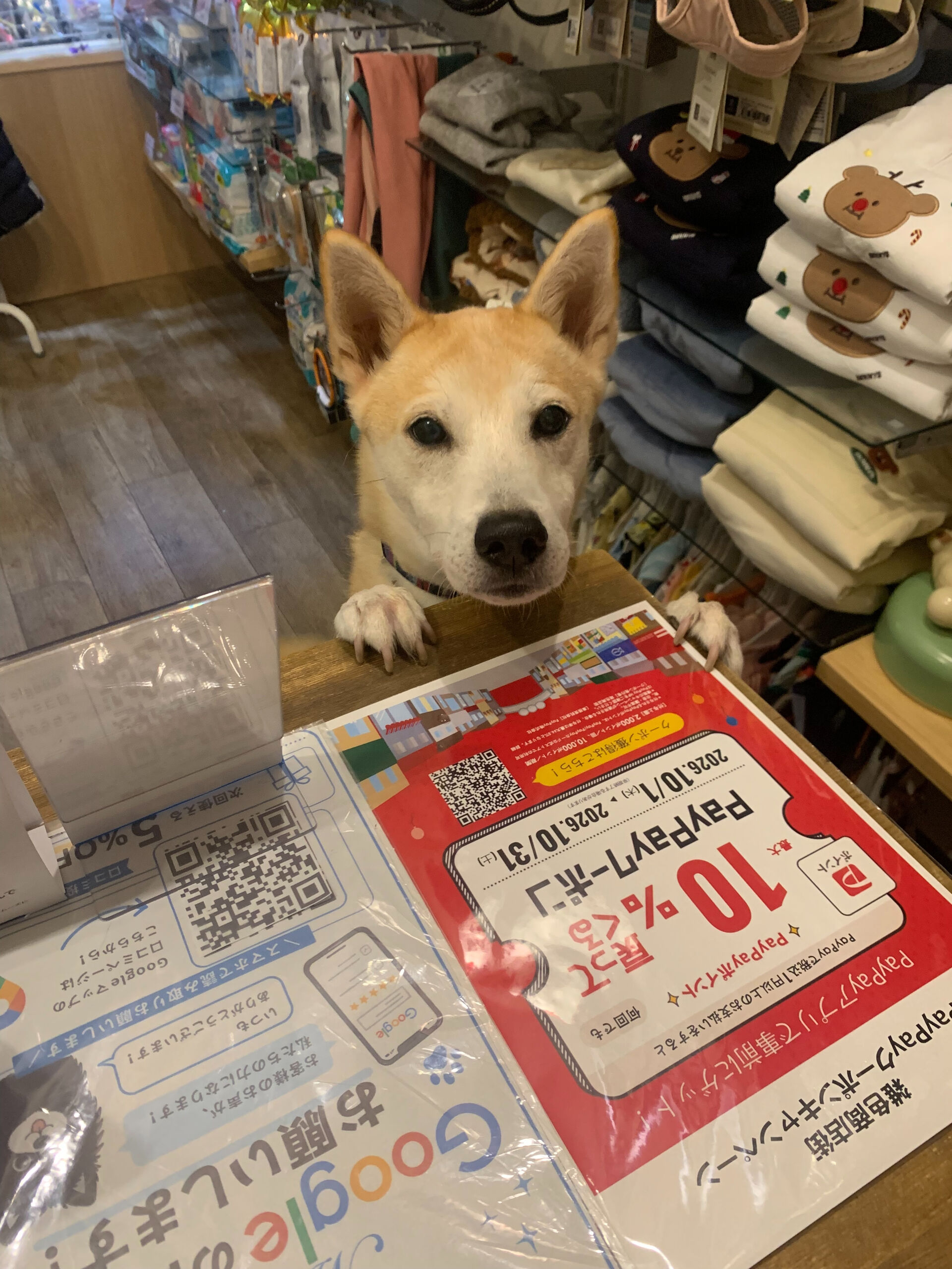 本日の大トリはこむぎくん🙌
