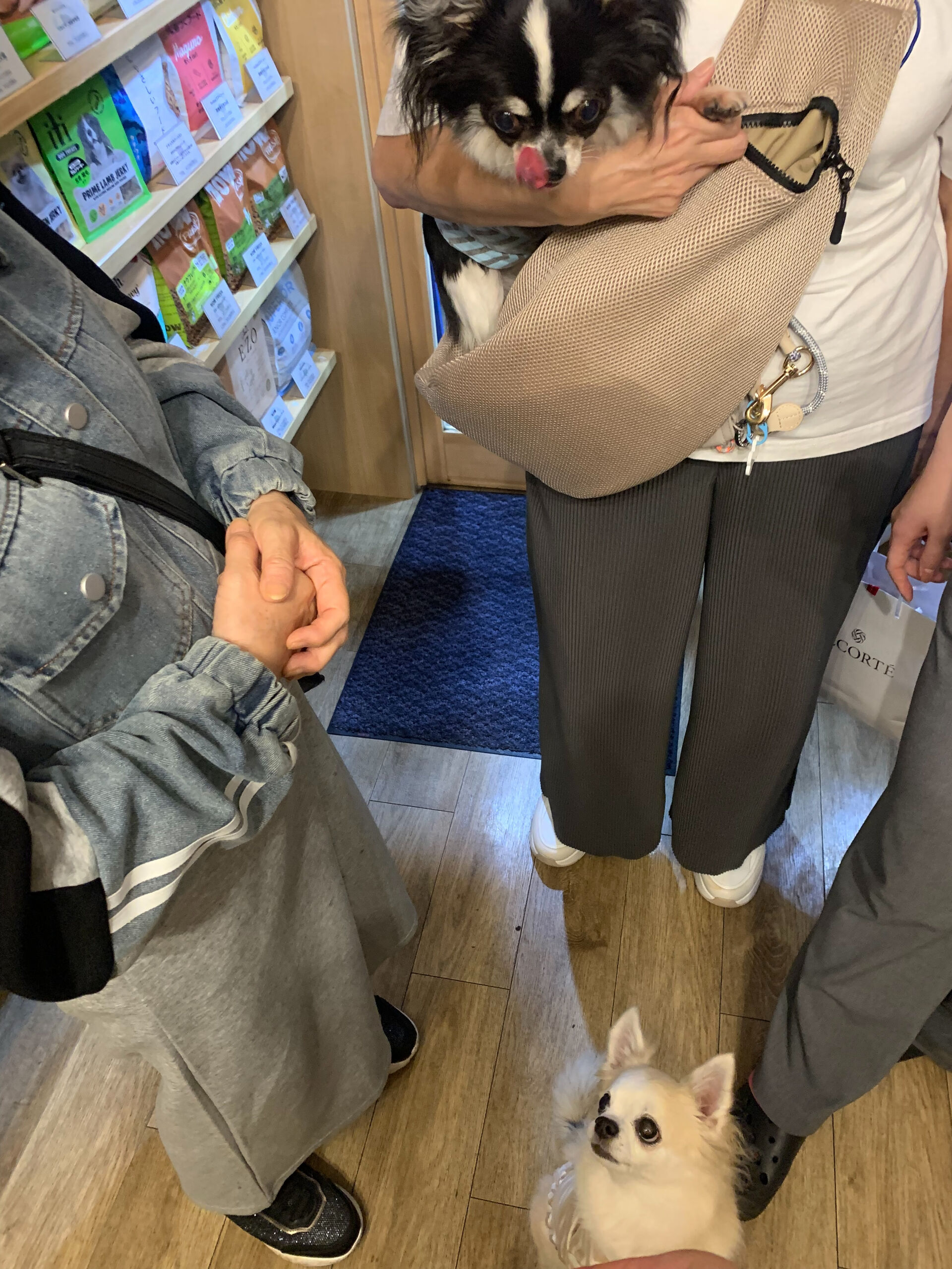 本日の大トリはここちゃんとりくくんでしたー🩵