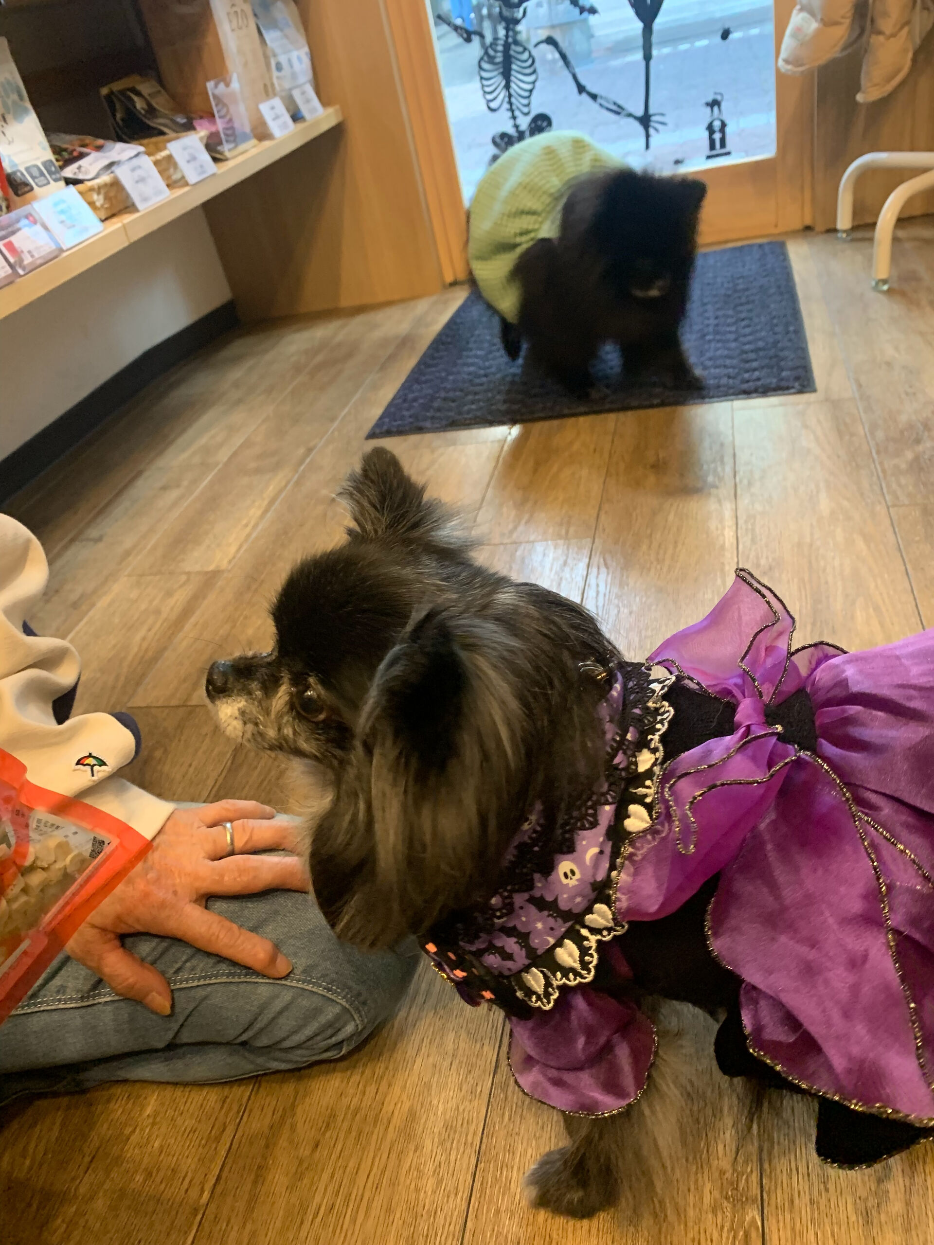 ラナちゃんご来店ありがとうございます😊