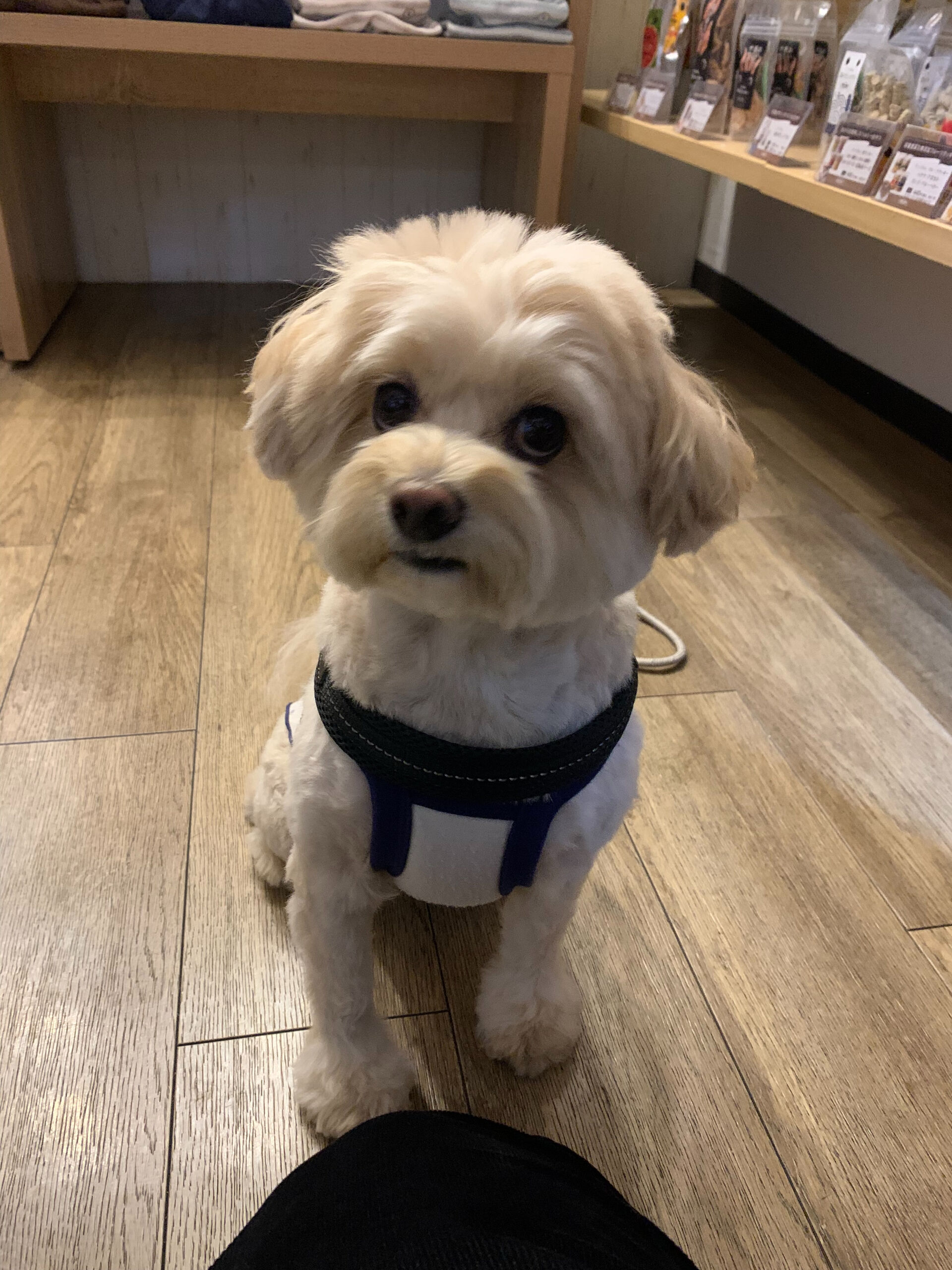 ウコちゃんご来店ありがとうございます😊
