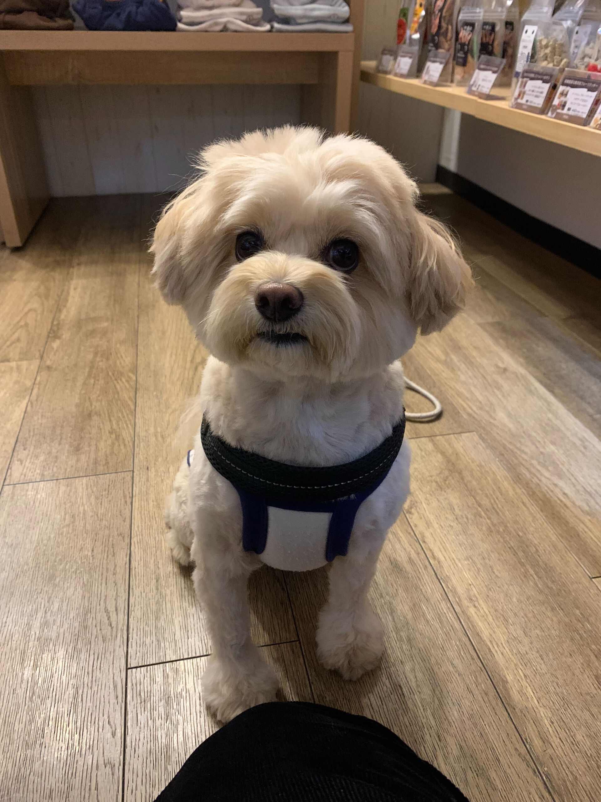 ウコちゃんご来店ありがとうございます😊