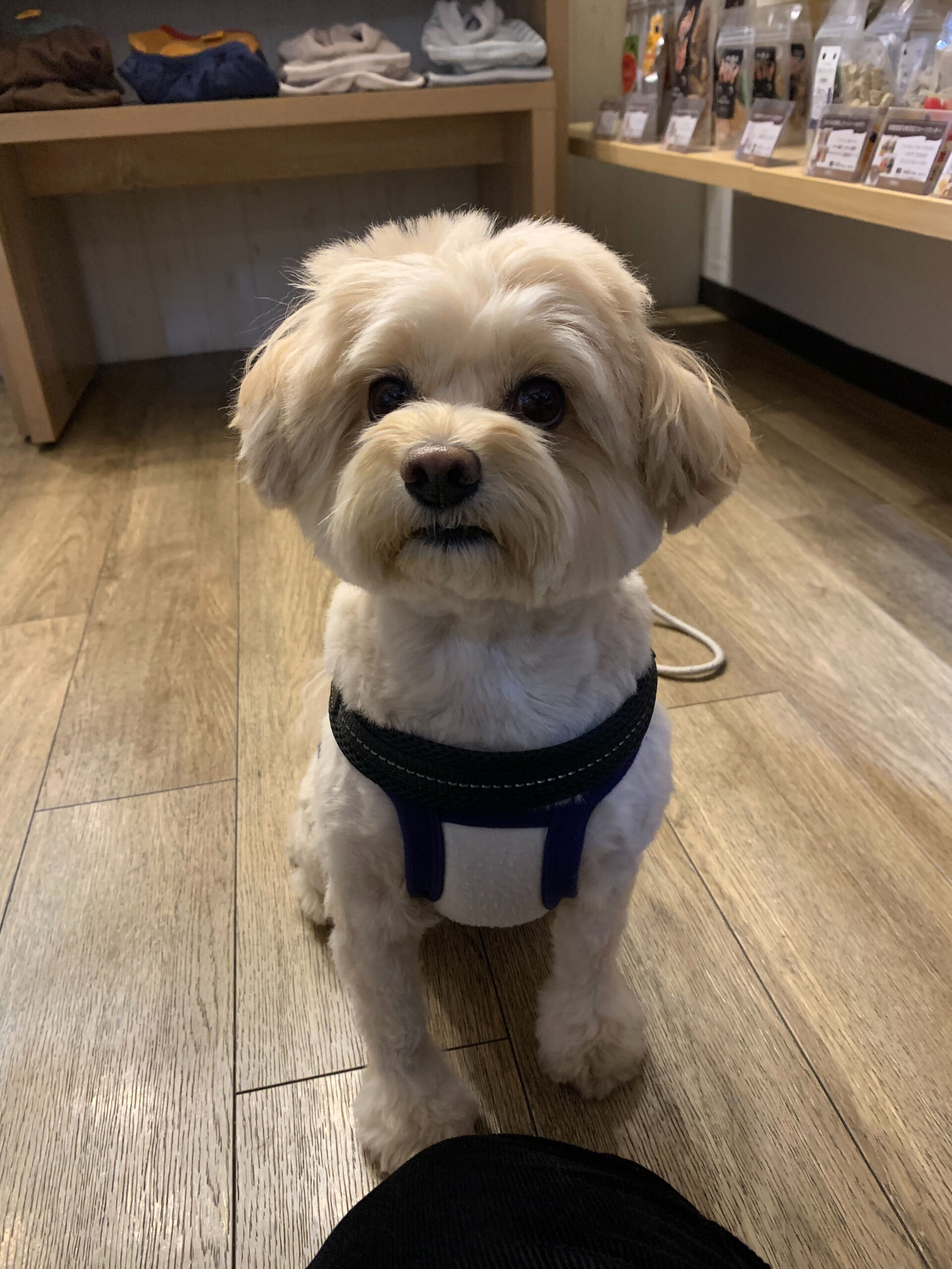 ウコちゃんご来店ありがとうございます😊