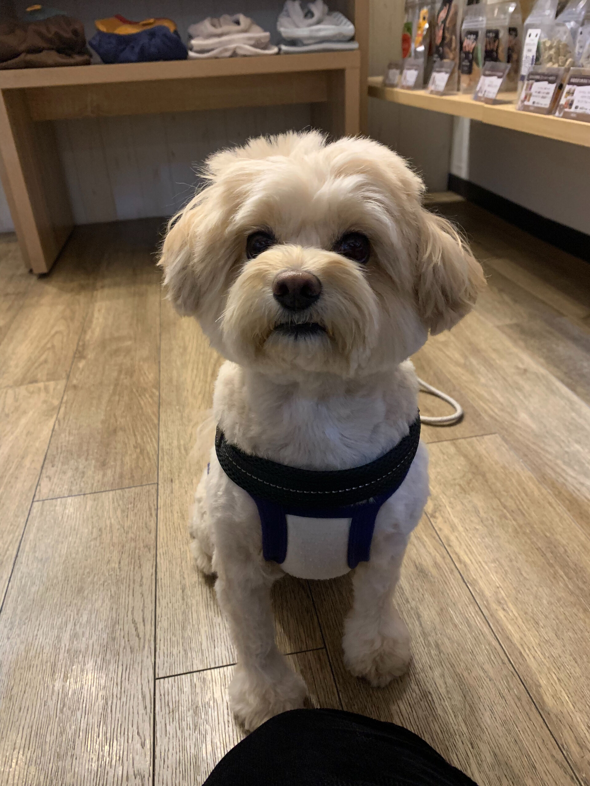 ウコちゃんご来店ありがとうございます😊