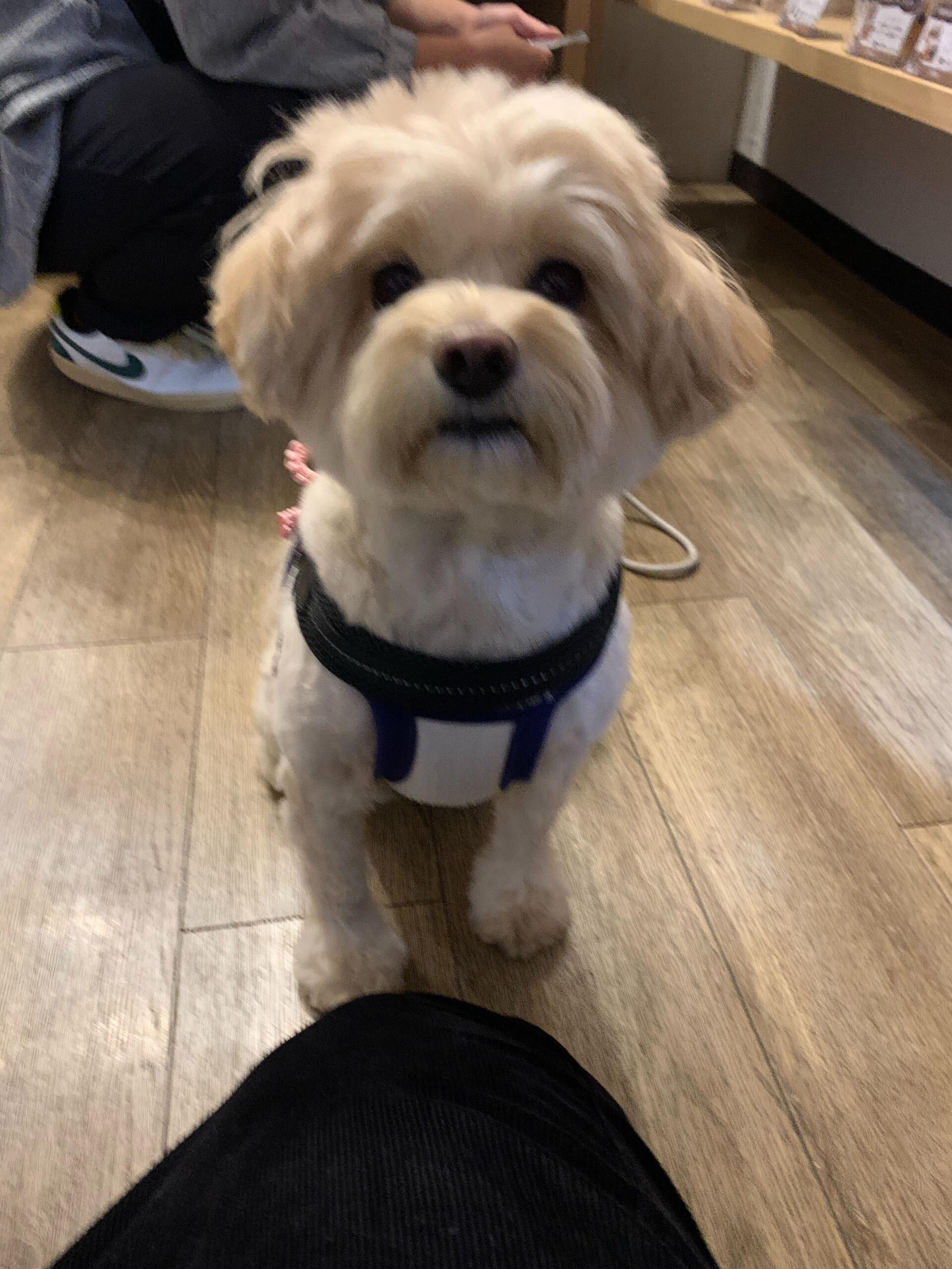 ウコちゃんご来店ありがとうございます😊