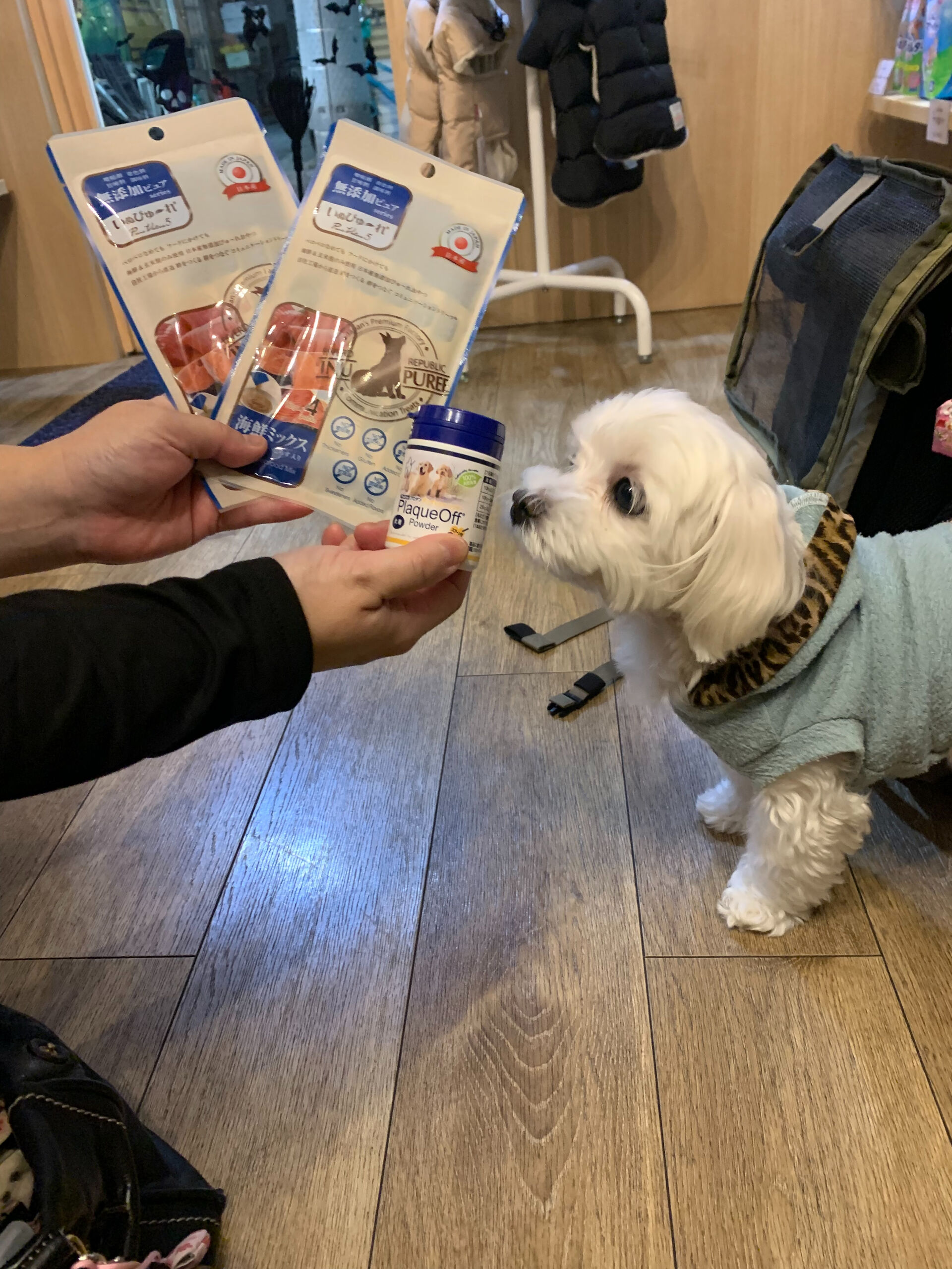 本日の大トリはさくらちゃんでしたー👏