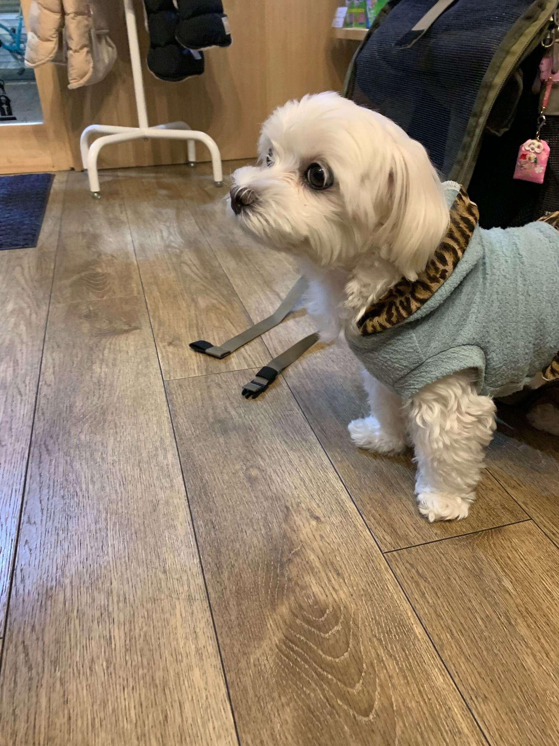 本日の大トリはさくらちゃんでしたー👏