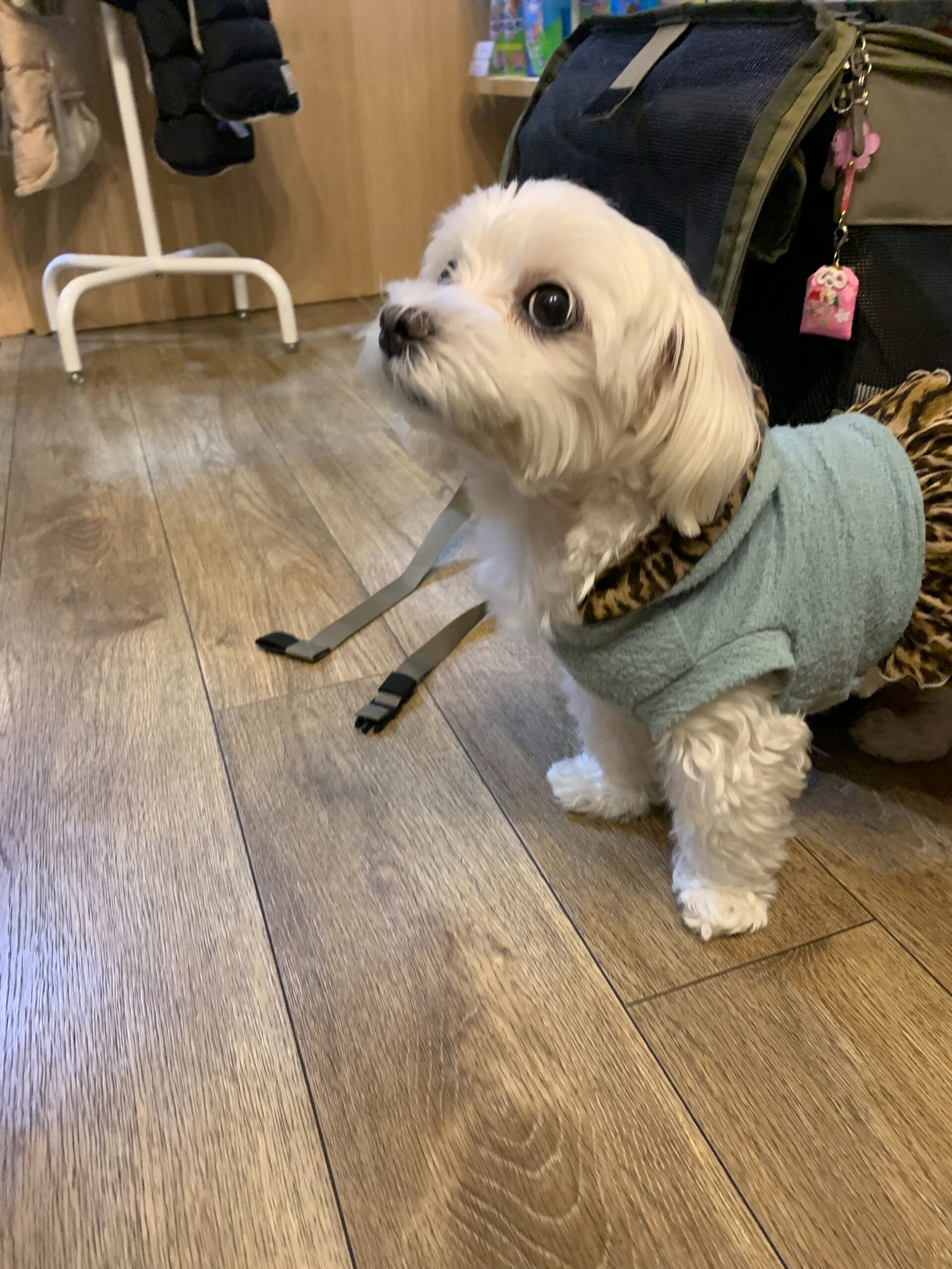 本日の大トリはさくらちゃんでしたー👏